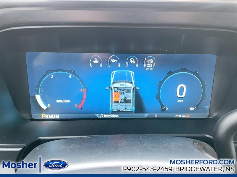 2026 Ford SuperDuty F-250 Platinum