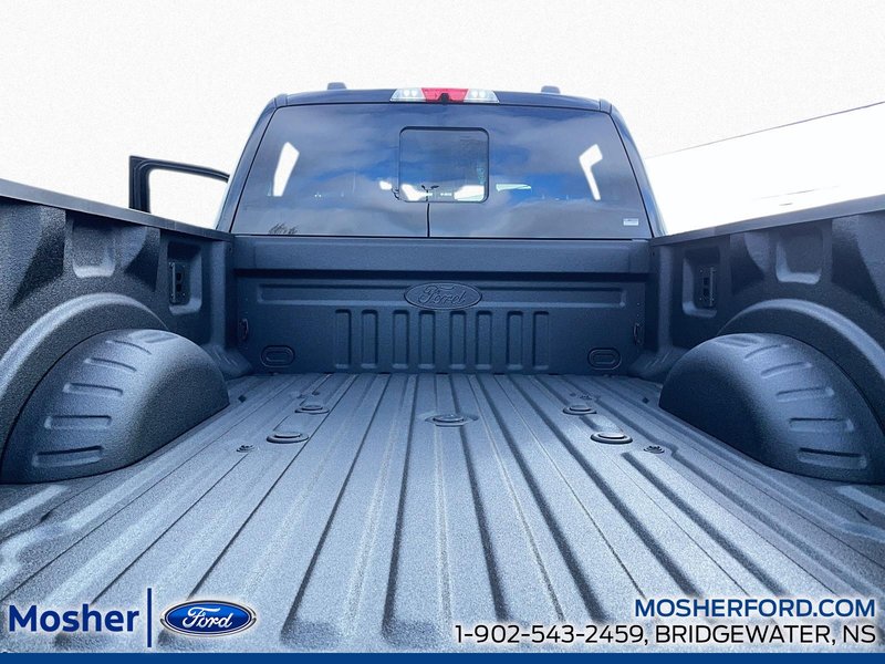 2026 Ford SuperDuty F-350 Platinum