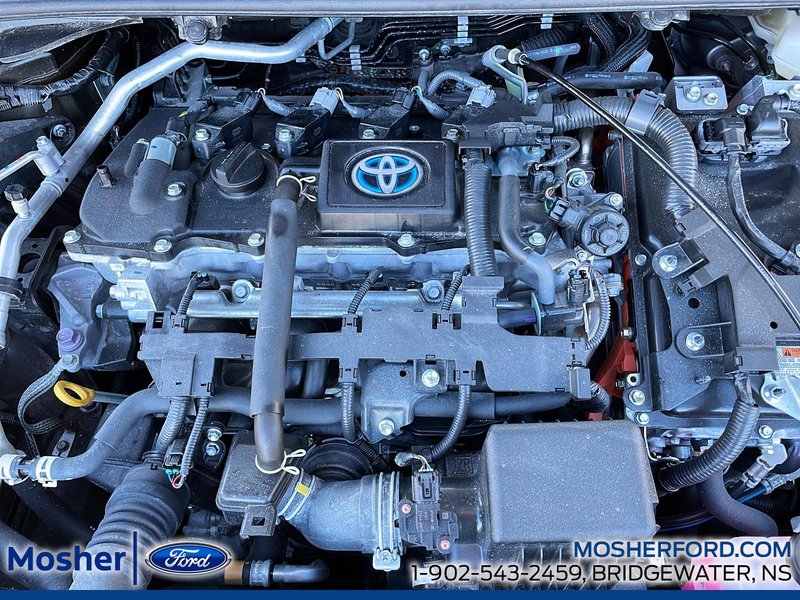 2024 Toyota Corolla Hybrid XSE