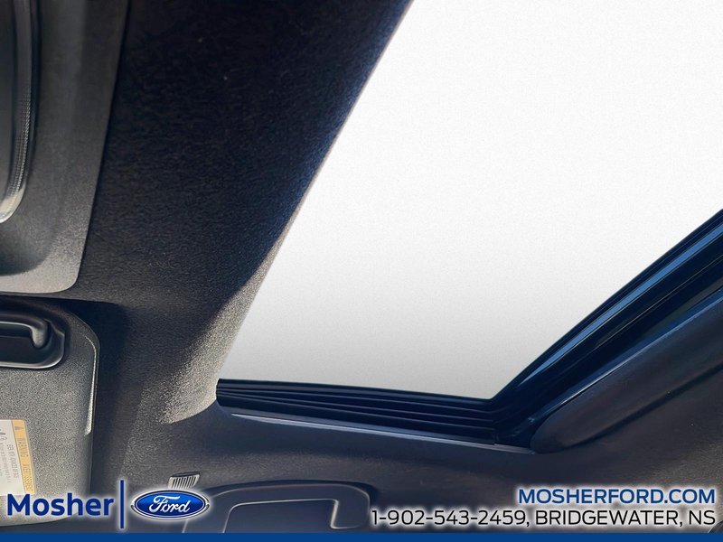 2024 Toyota Corolla Hybrid XSE