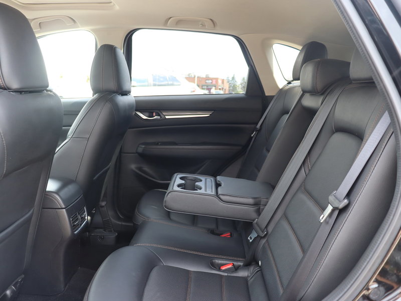 image-7