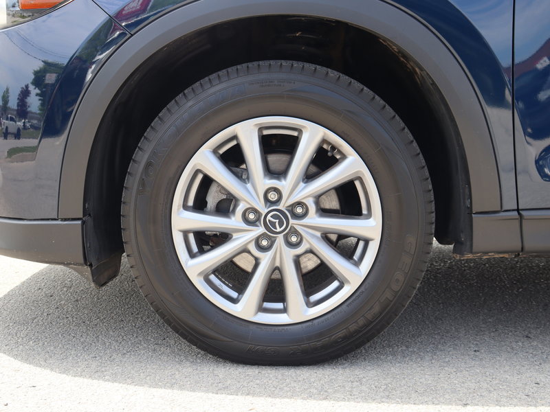 image-5