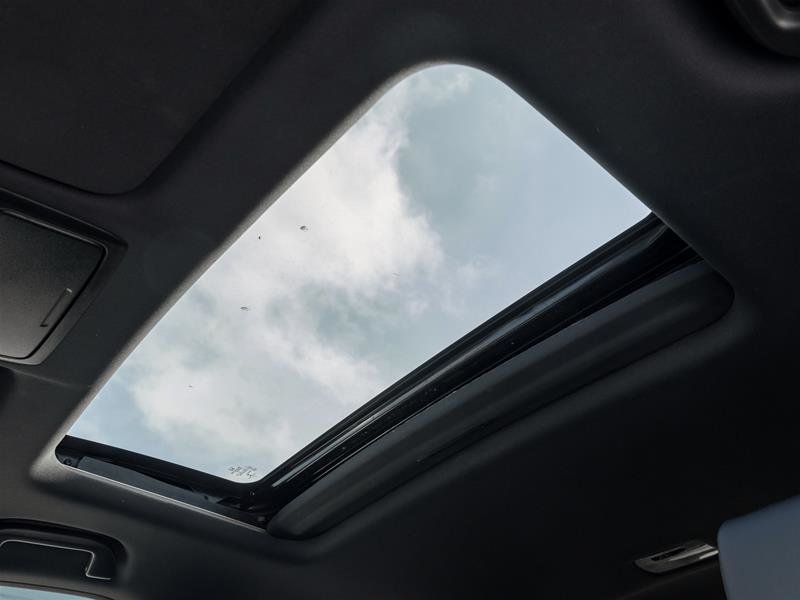 image-19