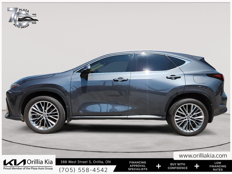 2022 Lexus NX 350