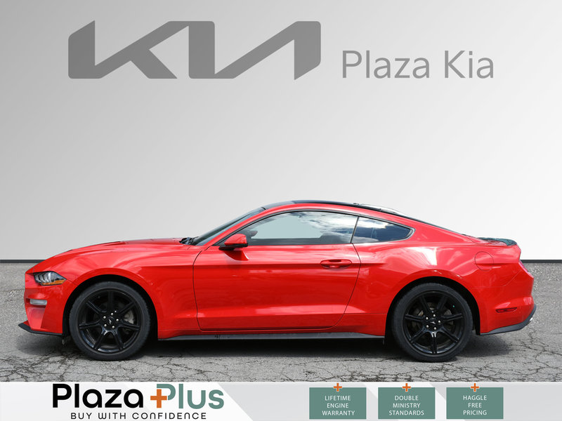 2019 Ford Mustang EcoBoost Certified | Bluetooth | Back-Up Camera