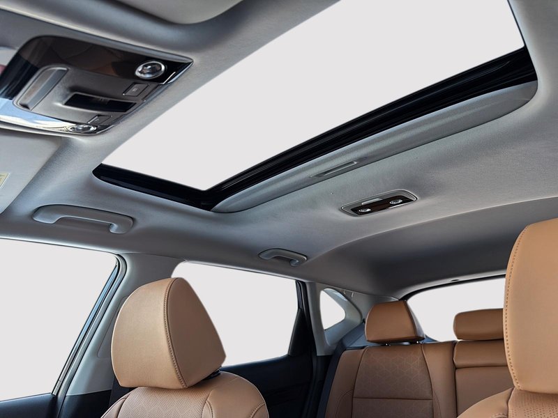 2026 Kia Seltos SX premium features, advanced safety, confident AWD