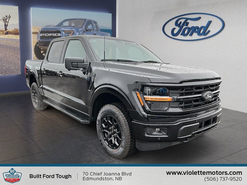 2025 Ford F-150 XLT