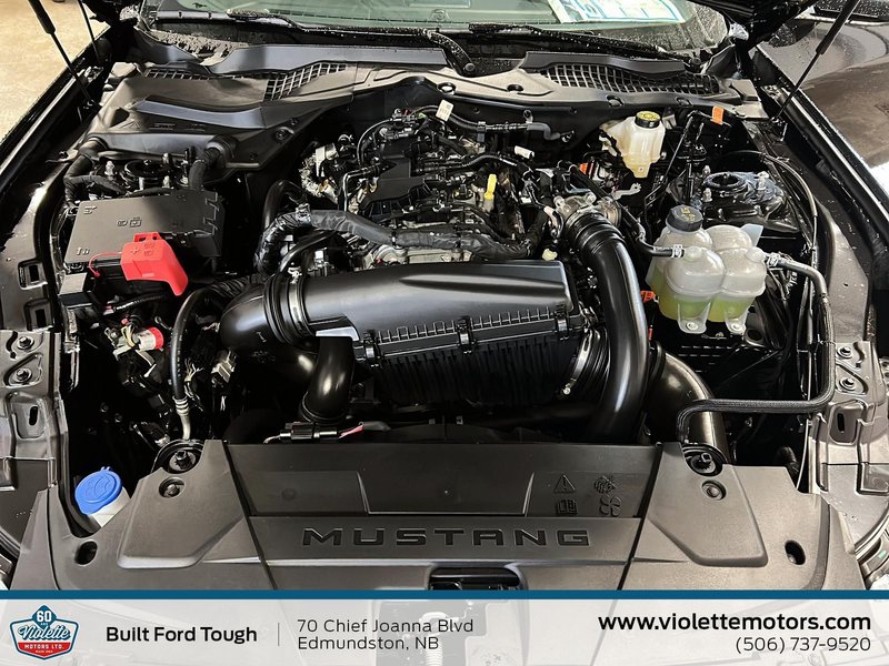 Ford Mustang ECOBOOST 2025