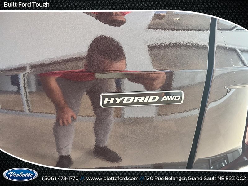 2023 Ford Escape ST-Line