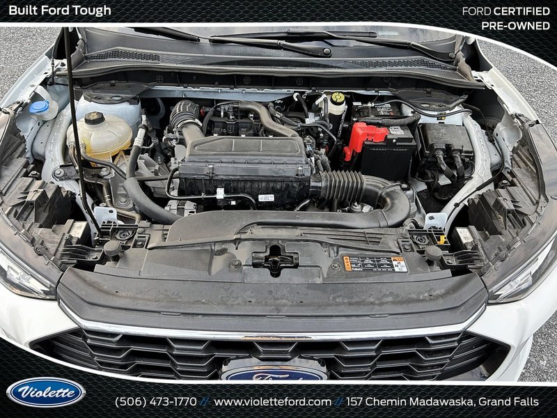 Ford Escape ST-Line 2024