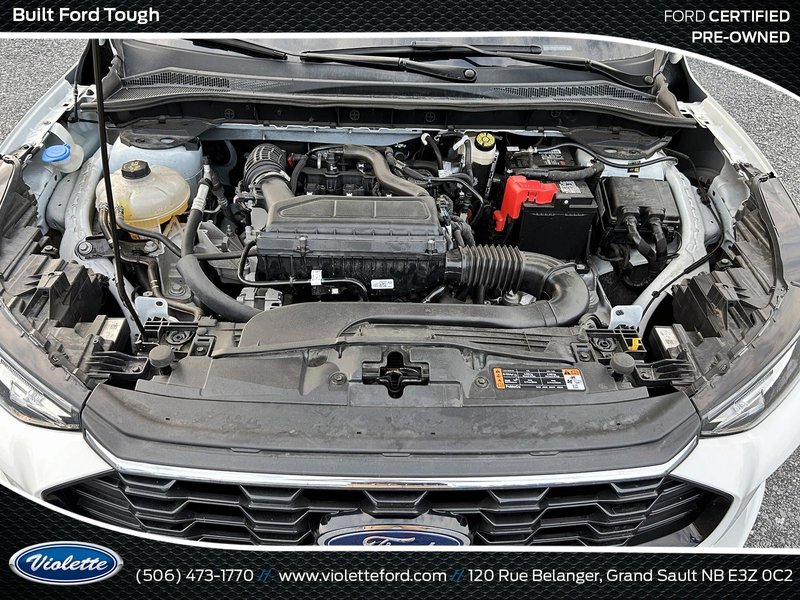 Ford Escape ST-Line 2024