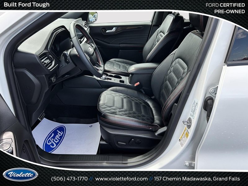 Ford Escape ST-Line Elite 2024
