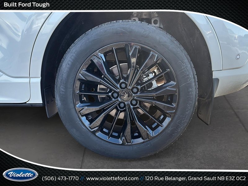 Ford Escape ST-Line Elite 2024