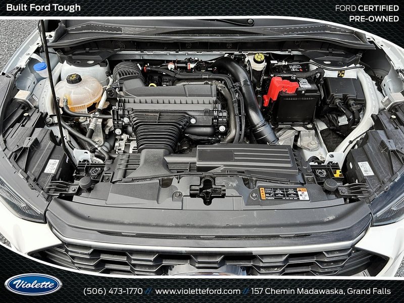 Ford Escape ST-Line Elite 2024