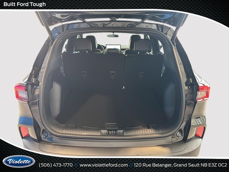 Ford Escape ST-Line 2026