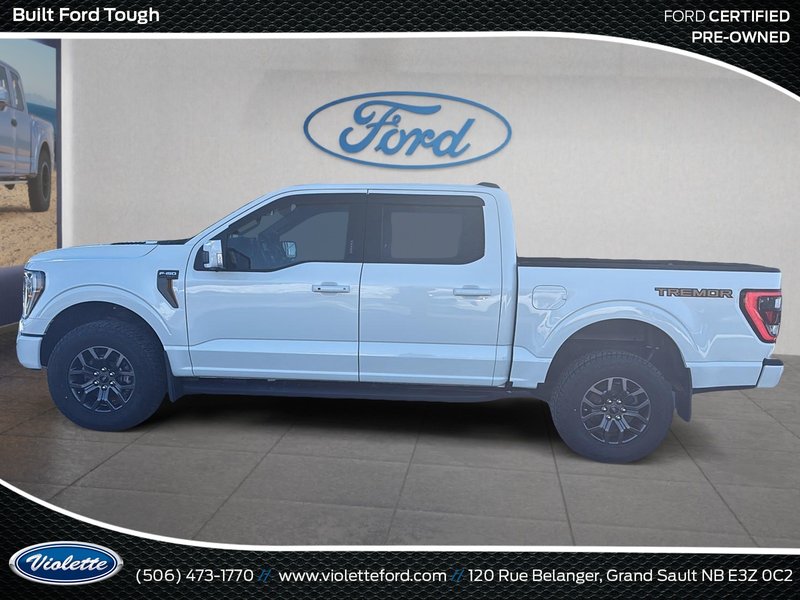 Ford F-150 Tremor 2023