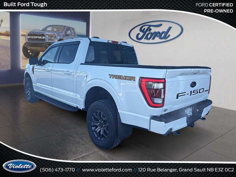 Ford F-150 Tremor 2023