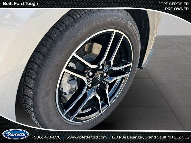 Ford Mustang EcoBoost 2022