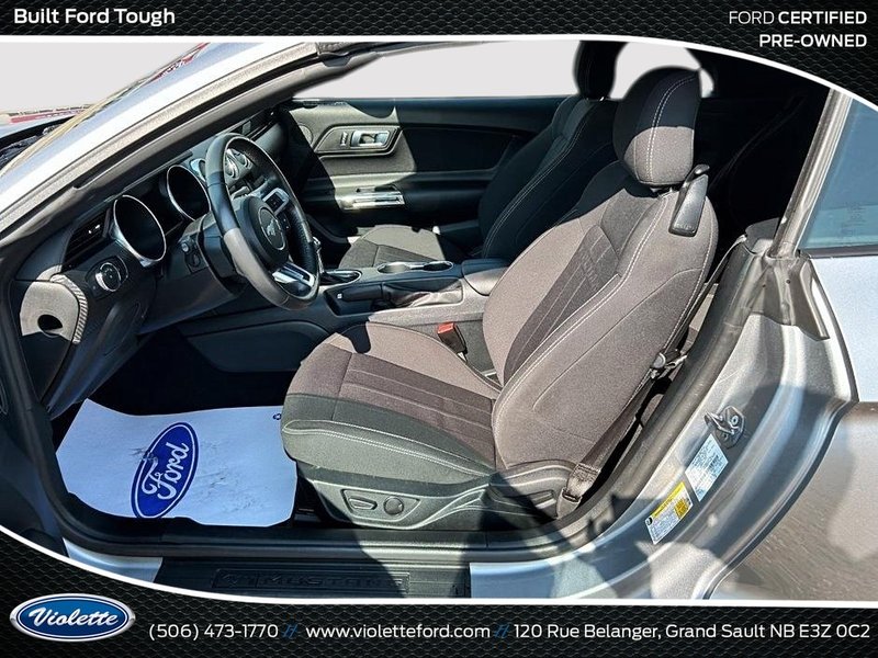 Ford Mustang EcoBoost 2022