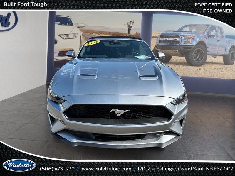 Ford Mustang EcoBoost 2022