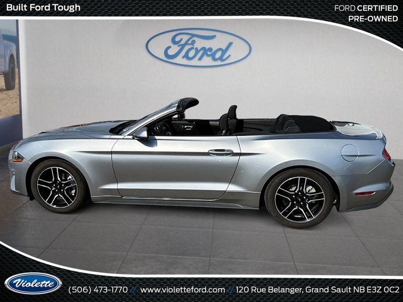 Ford Mustang EcoBoost 2022