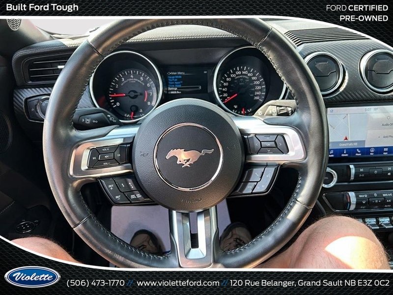Ford Mustang EcoBoost 2022
