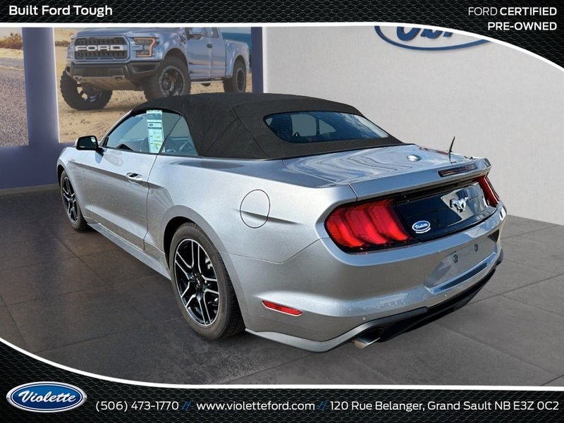 Ford Mustang EcoBoost 2022