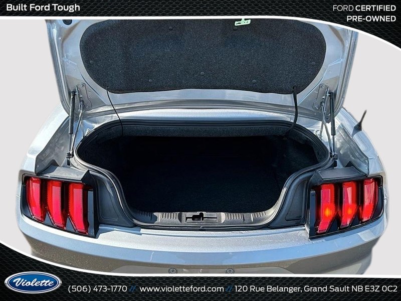 Ford Mustang EcoBoost 2022