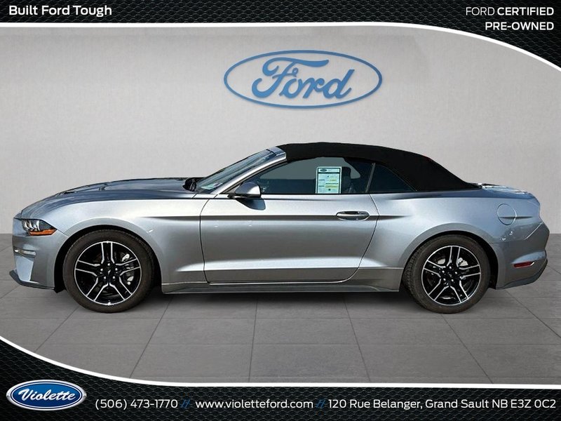 Ford Mustang EcoBoost 2022