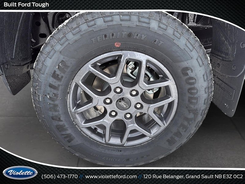 Ford Ranger XLT 2026