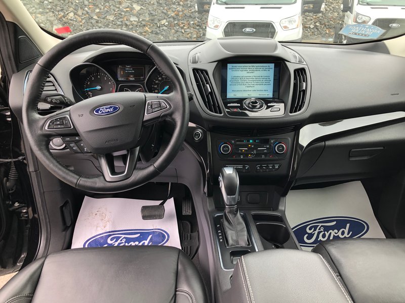 Violette Motors Ltd Edmundston in Edmundston | 2019 Ford Escape 