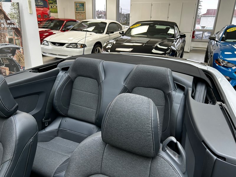 Ford Mustang ECOBOOST 2024