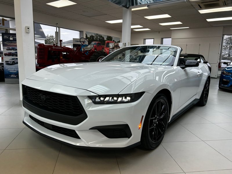 Ford Mustang ECOBOOST 2024