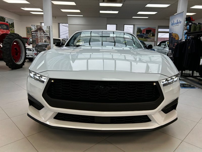 Ford Mustang ECOBOOST 2024