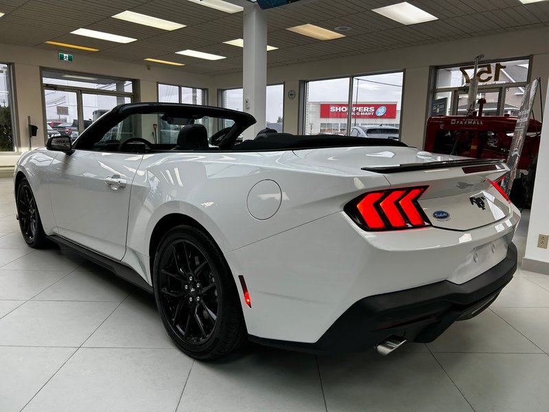 Ford Mustang ECOBOOST 2024