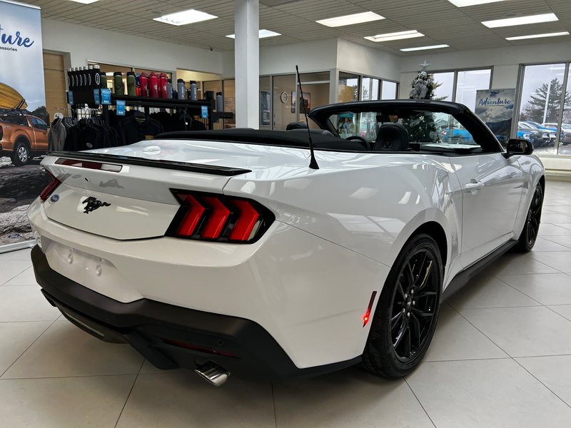 Ford Mustang ECOBOOST 2024