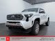 2025   Limited