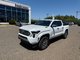2025   Limited