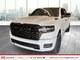 1500 BIG HORN