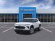 Trailblazer LS