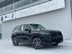 X1 xDrive28i