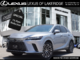 RX 350h LUXURY