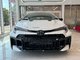2025   Premium MT
