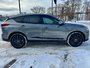 2024 Acura RDX Platinum Elite A-Spec-6