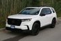 2025 Honda Pilot Black Edition-13