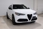 2021 Alfa Romeo Stelvio Ti Sport-2