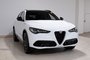 2024 Alfa Romeo Stelvio Veloce-2