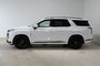 2025 Hyundai Palisade Ultimate Calligraphy Night-8