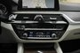 2020 BMW 5 Series 530i xDrive-16