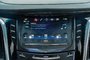 2017 Cadillac Escalade Platinum Luxury-9